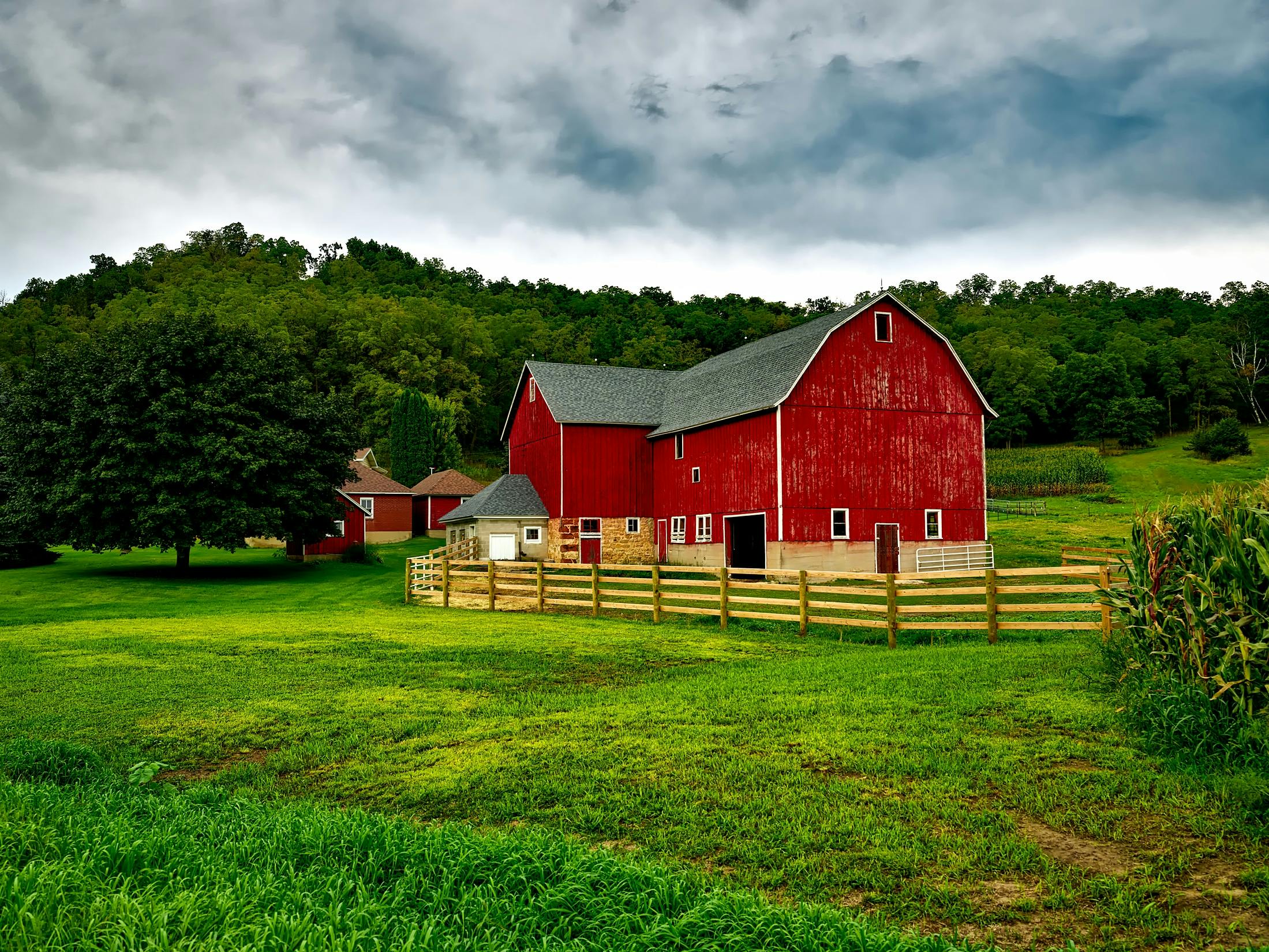Growing Up on a Wisconsin Dairy Farm: Reflections for June Dairy Month
