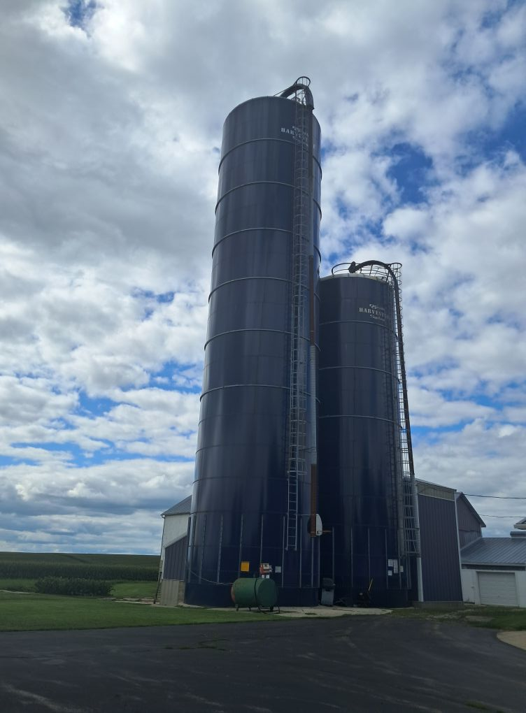 Growing Up on a Farm: How I Learned to Appreciate My Dairy Roots