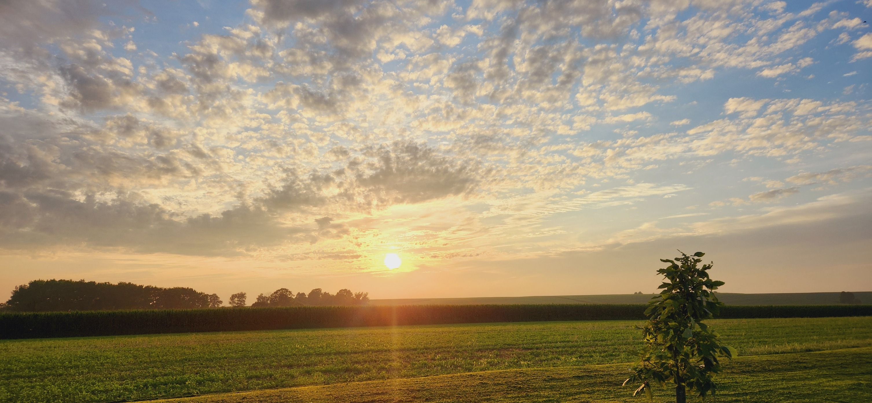 The Quiet Wealth of Rural Communities: Barter, Trust & Neighborly Help