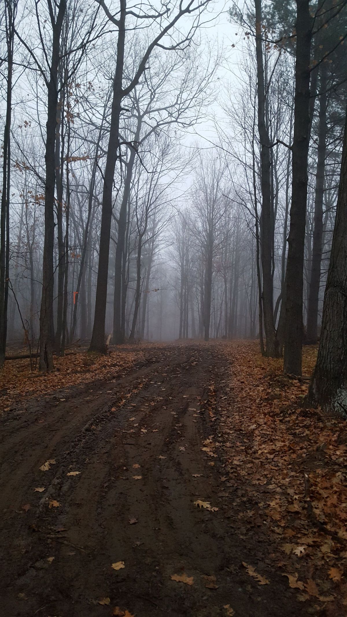 Where the River Slows Down: Finding Peace at My Favorite Local&nbsp;Park