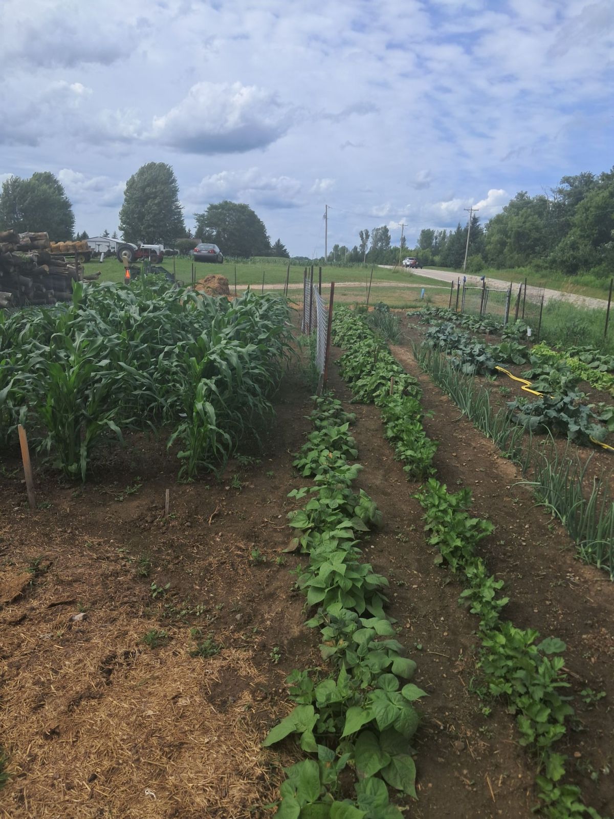 Past Lessons and Future Dreams: Learning, Growing, and Moving&nbsp;Forward