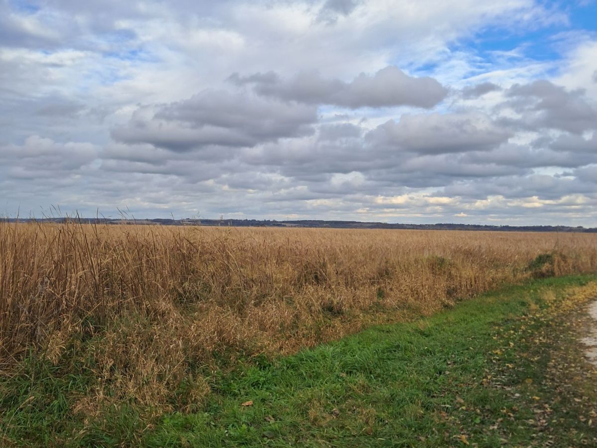 My Life Beside the Horicon&nbsp;Marsh