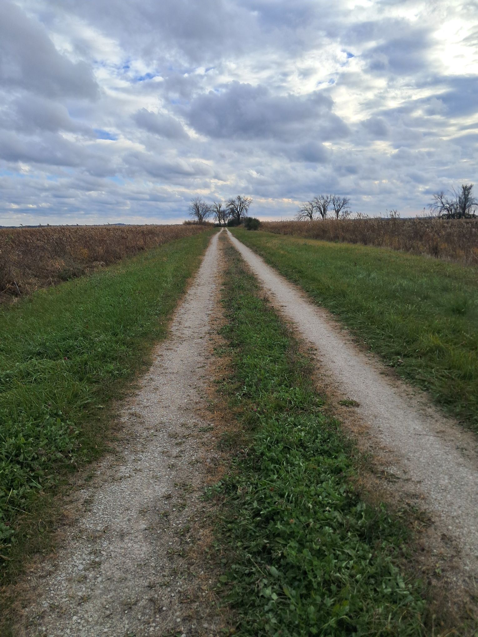 Walking Through Life — From Farm Chores to Family Joy