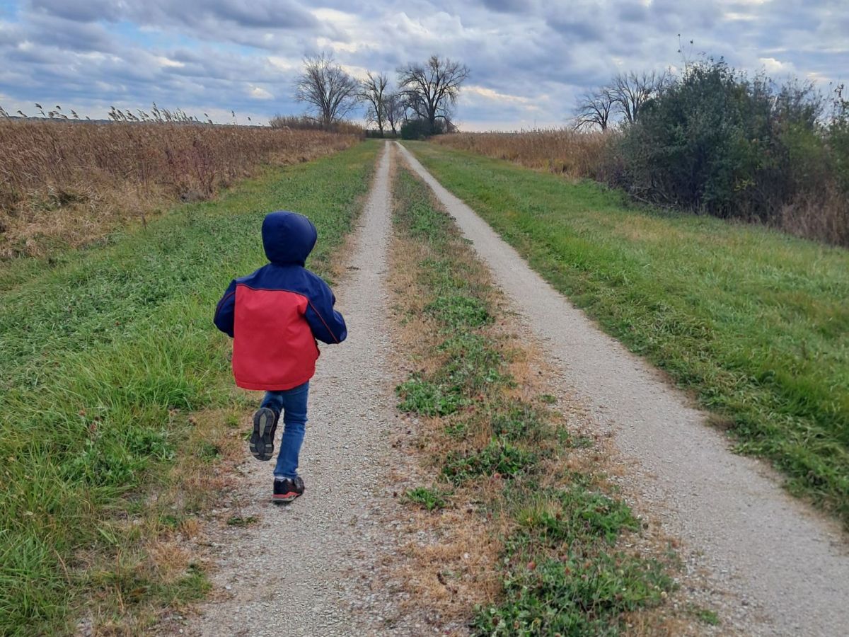 Seasons of Adventure: Reflections as My Son Turns&nbsp;Six