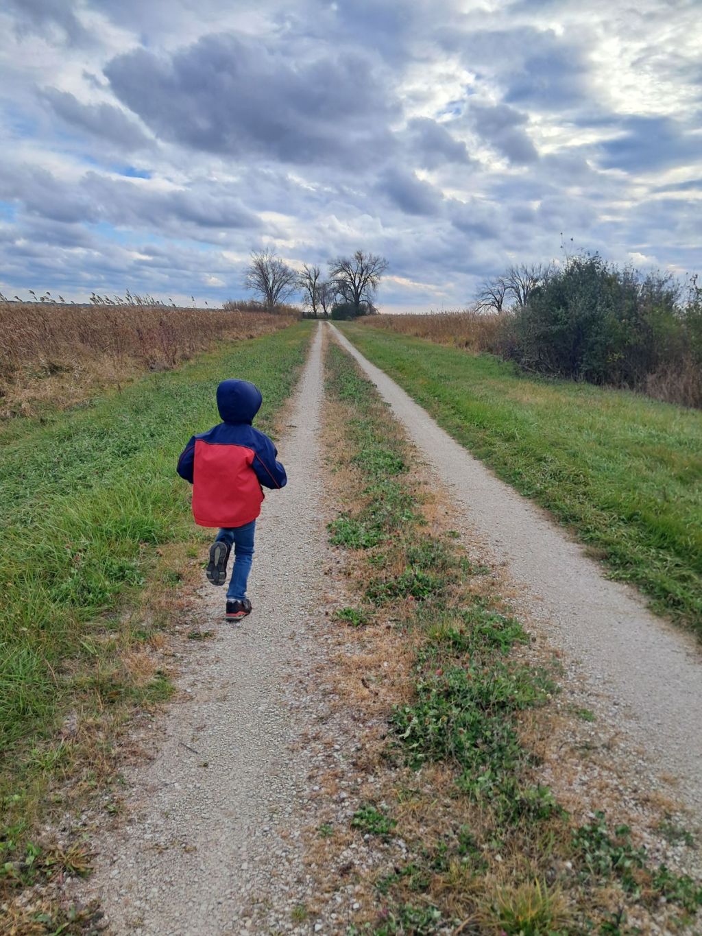 Seasons of Adventure: Reflections as My Son Turns&nbsp;Six
