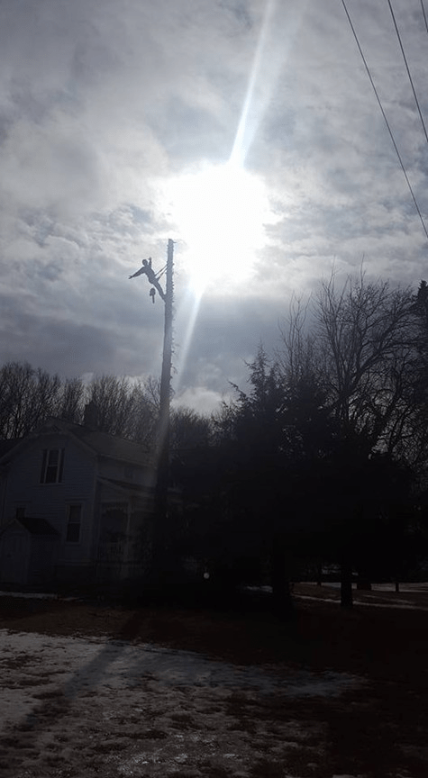 How to Cut Down a Tree in 28 Easy Steps (from my husband’s&nbsp;perspective)