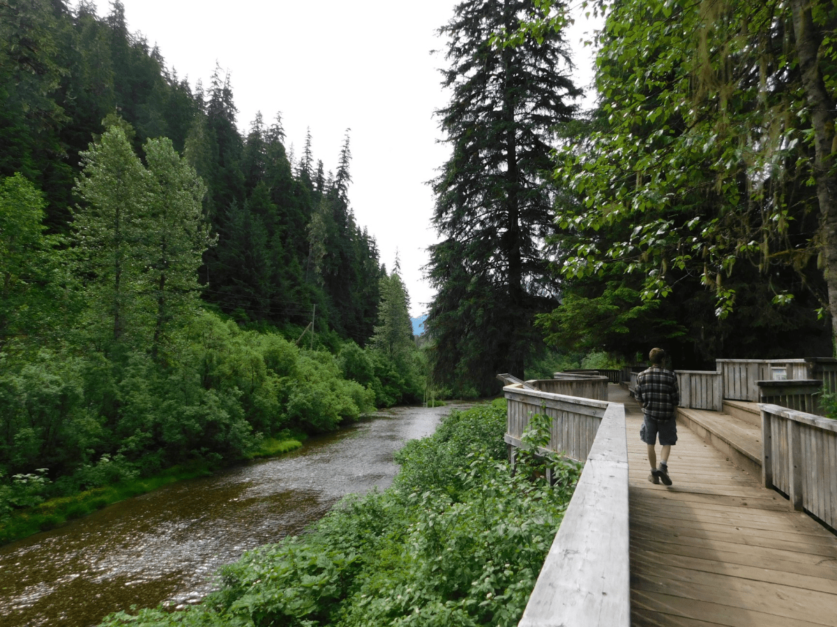 What the World Taught Me About&nbsp;Home