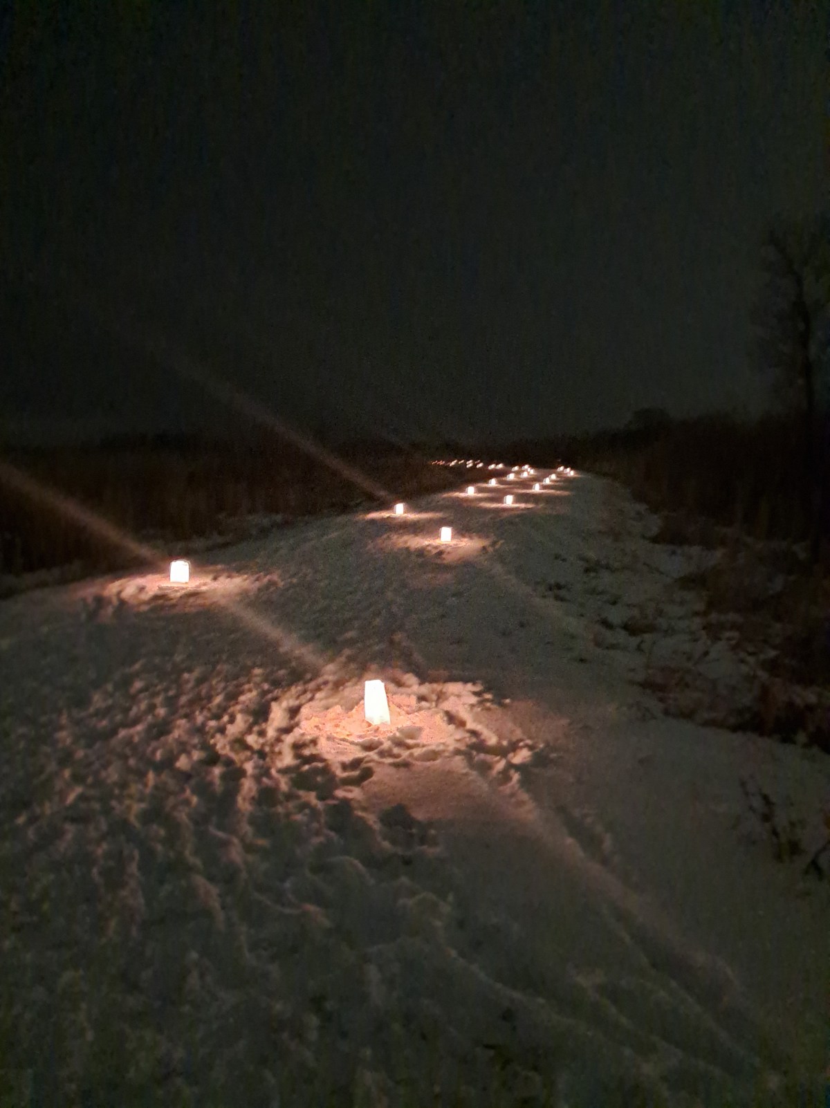 Winter Storybook Trail Walks: Family Magic at Horicon&nbsp;Marsh