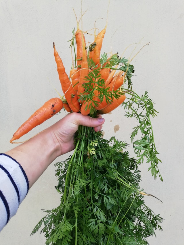 What I Complain About Most: Why Farmers Deserve More Appreciation (And How We’re Reconnecting)