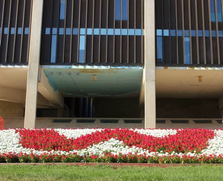 A Proud Badger Journey: Lessons, Friendships, and Lifelong Connections at UW–Madison