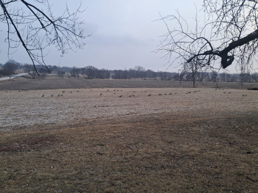 Early Signs of Spring on the Homestead&nbsp;(2026)