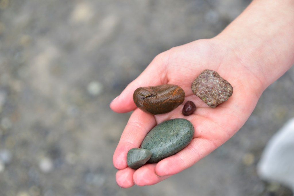 Still Becoming: My Resilience Journey to Everyday&nbsp;Joy