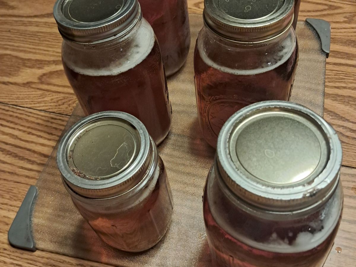 Mid-Season Maple Syrup: 5 Gallons from 200 Gallons&nbsp;Sap