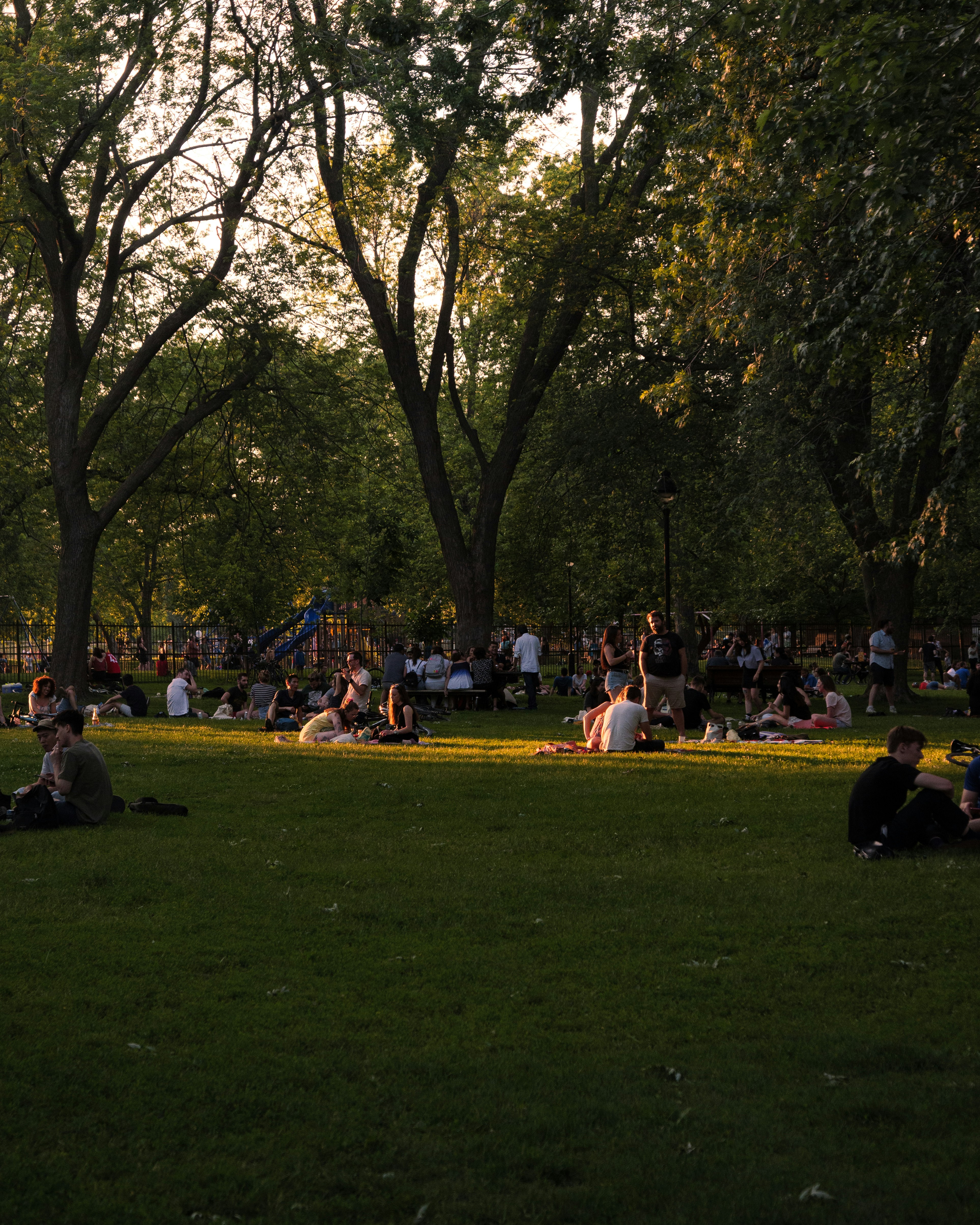 The Best Concerts of My Life: From Awolnation to Concerts in the Park
