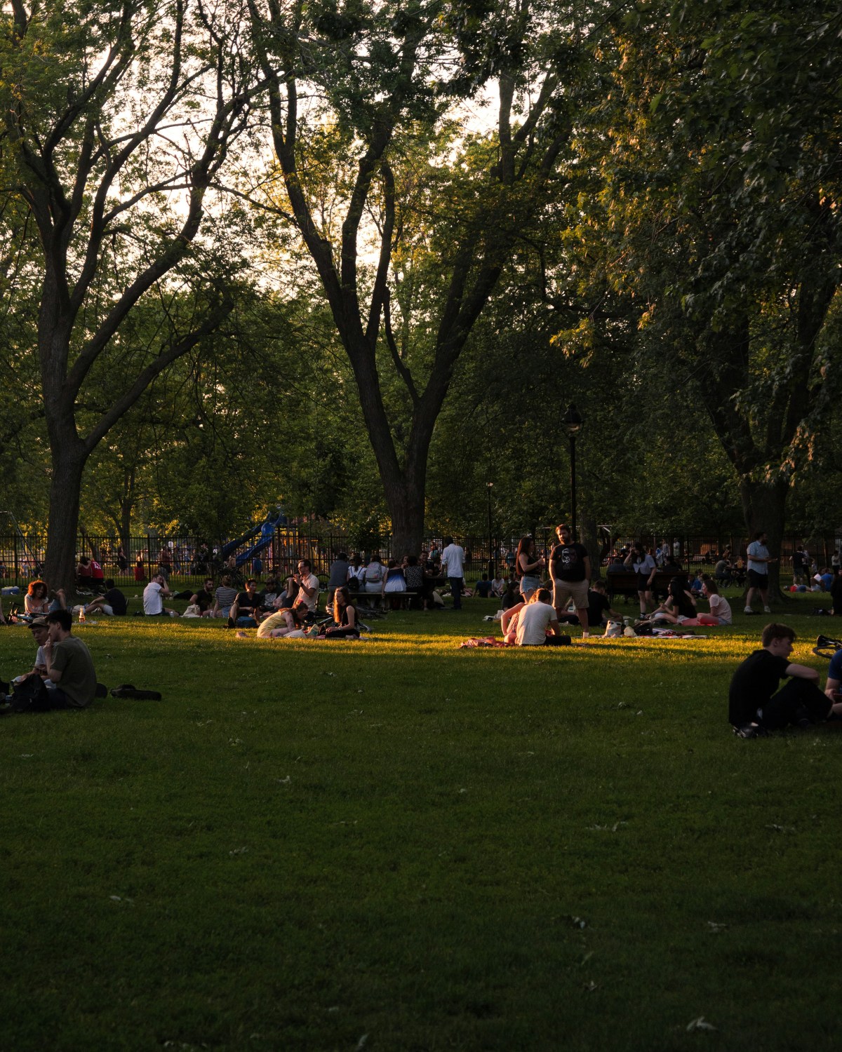 The Best Concerts of My Life: From Awolnation to Concerts in the&nbsp;Park