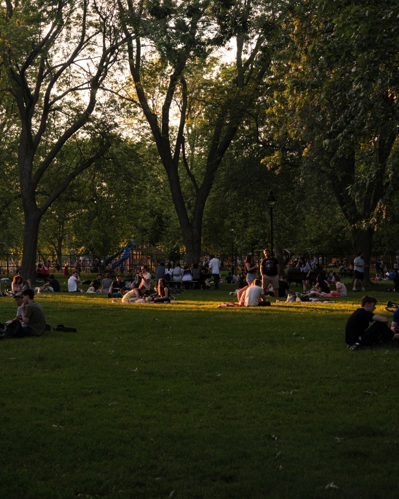 The Best Concerts of My Life: From Awolnation to Concerts in the&nbsp;Park