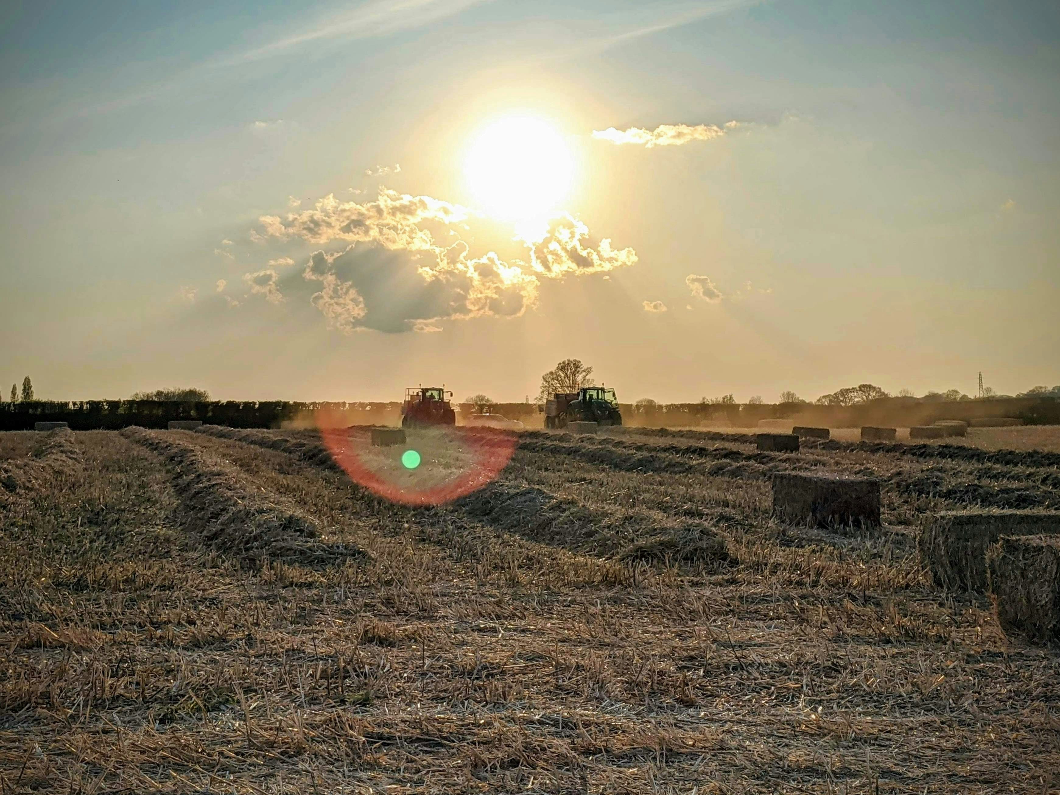 Farmer Mental Health: The Hidden Toll of Bigger Farms and Bigger Debt