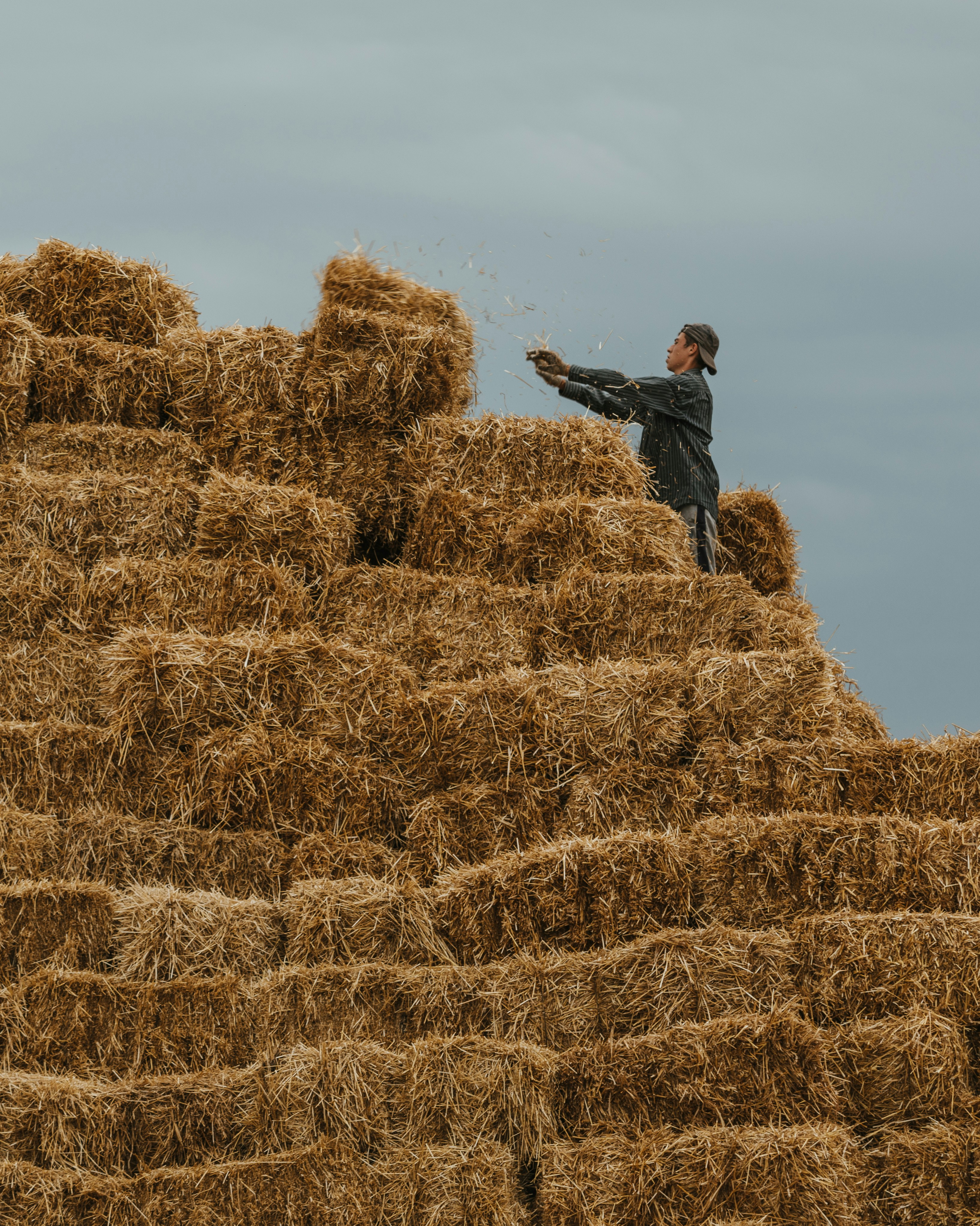 How Two Neighboring Farmers Became Lifelong Friends
