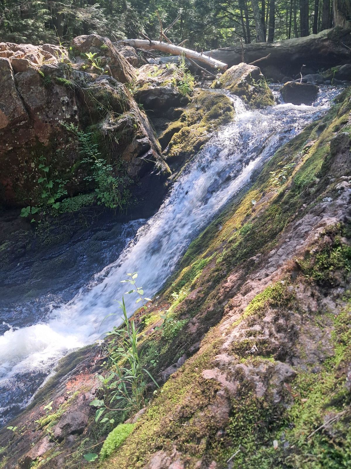 How Our Family of Four Took a 5‑Day Road Trip for Under&nbsp;$1,000